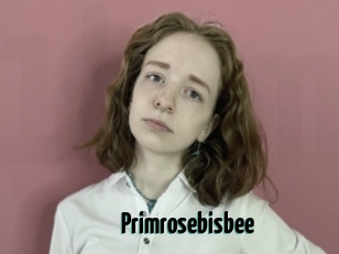Primrosebisbee