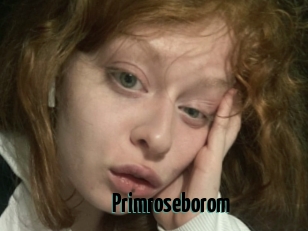 Primroseborom