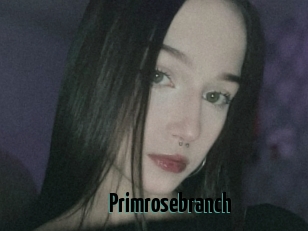 Primrosebranch