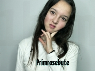Primrosebute