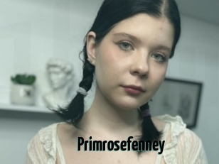 Primrosefenney