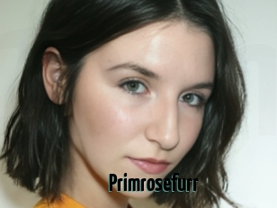Primrosefurr