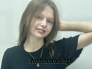 Prudencecodringt
