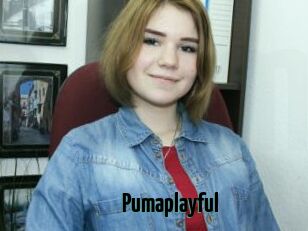 Pumaplayful