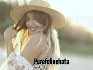 Purefelinekata