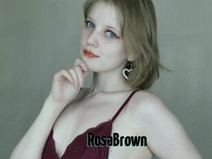 RosaBrown