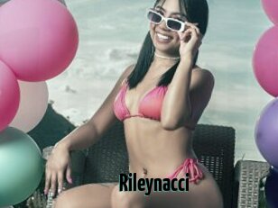 Rileynacci