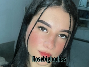 Rosebigboobss