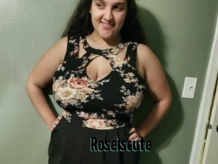Roseiscute