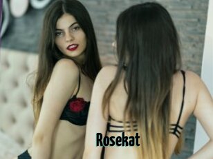 Rosekat