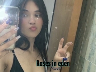 Roses_in_eden