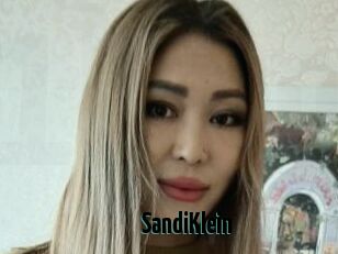 SandiKlein