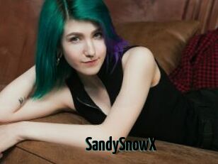 SandySnowX