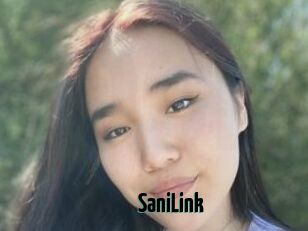 SaniLink