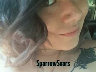 SparrowSoars