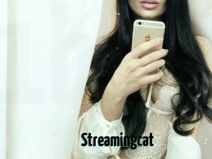 Streamingcat