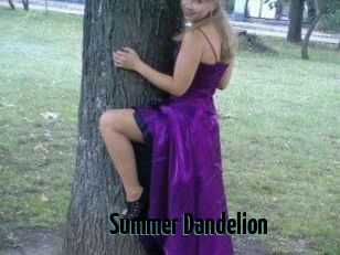 Summer_Dandelion