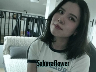 Sakuraflower