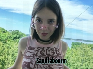 Sandieboerm