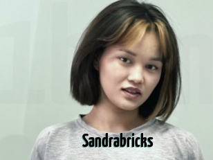 Sandrabricks