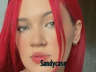 Sandycase
