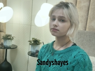 Sandyshayes