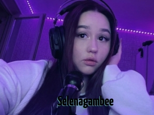 Selenagambee