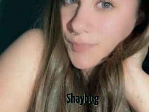 Shaybug