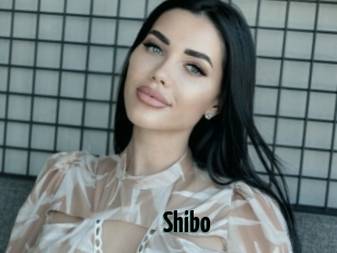 Shibo