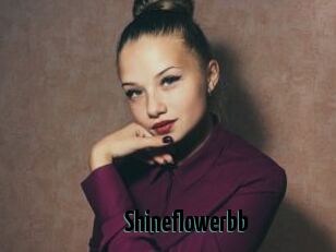Shineflowerbb