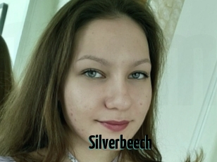 Silverbeech