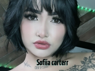 Sofiia_carterr