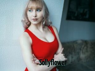 Sollyflower