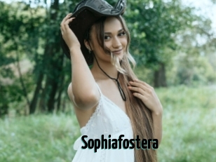 Sophiafostera