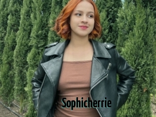 Sophicherrie