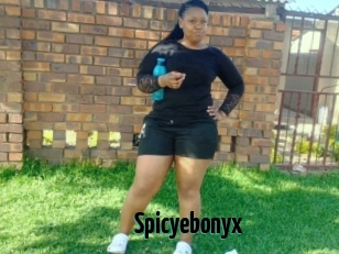 Spicyebonyx