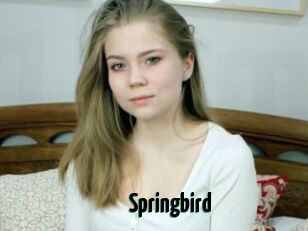 Springbird