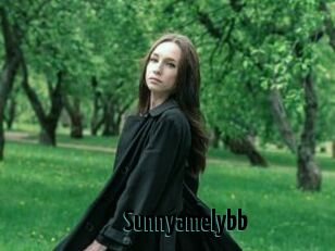 Sunnyamelybb
