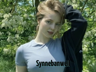 Synnebanwell