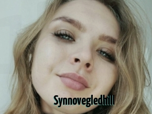 Synnovegledhill