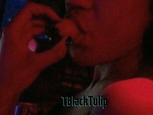TBlackTulip