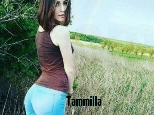 Tammilla_
