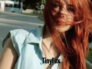 TinyFox