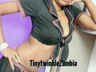 TinytwinkleZambia