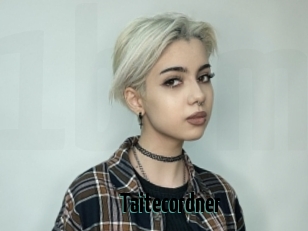 Taitecordner