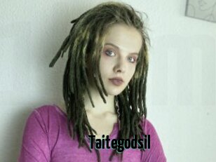 Taitegodsil