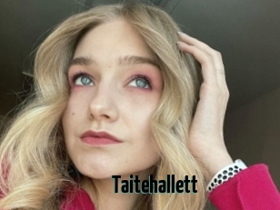 Taitehallett