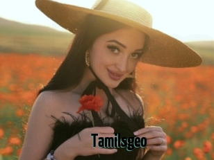 Tamilsgeo