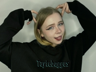 Tayteboggus