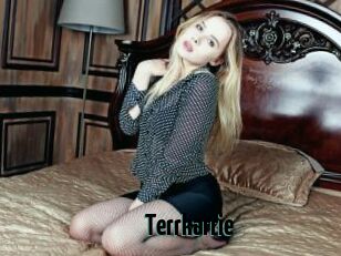 Terrkarrie
